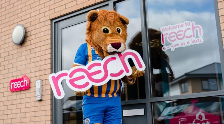 Lenny the Lion by Reech