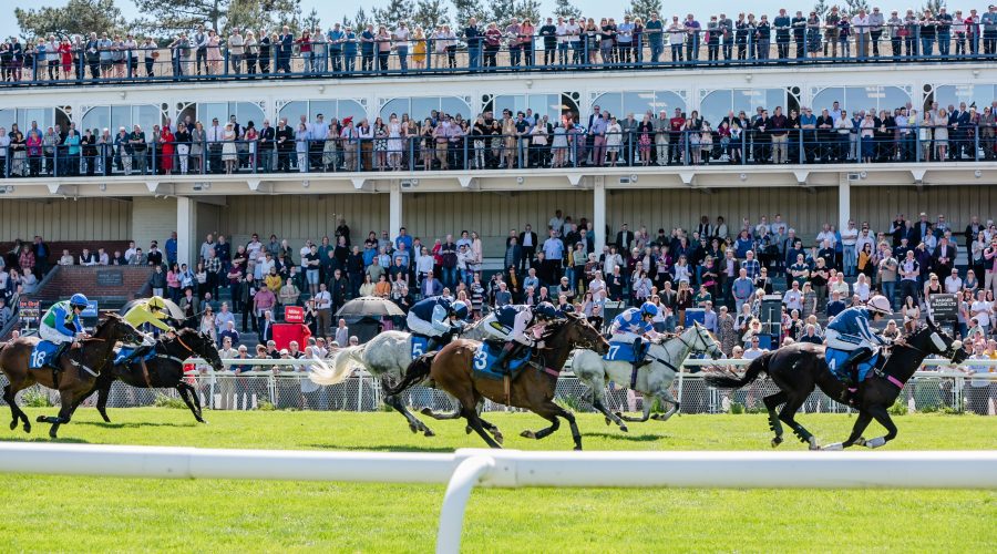 Ludlow Racecourse photography