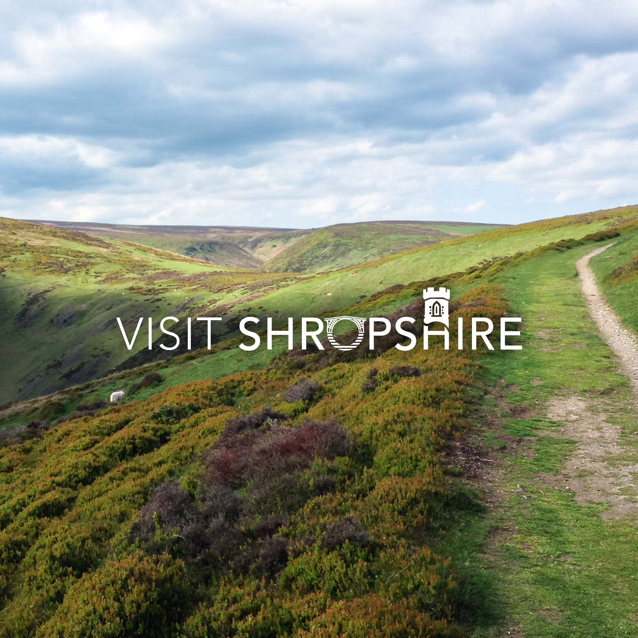 Reech win competitive tender to rebrand Shropshire Tourism