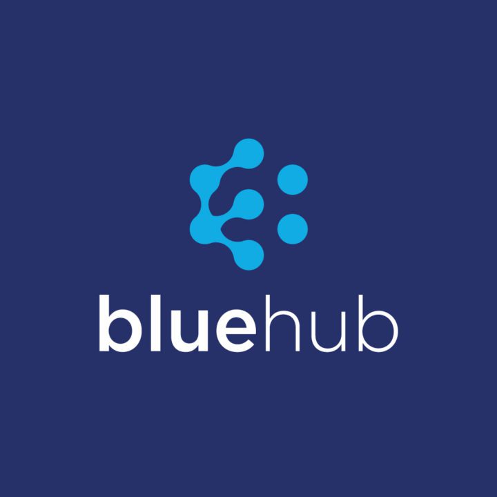 BlueHub | Reech Brand Agency