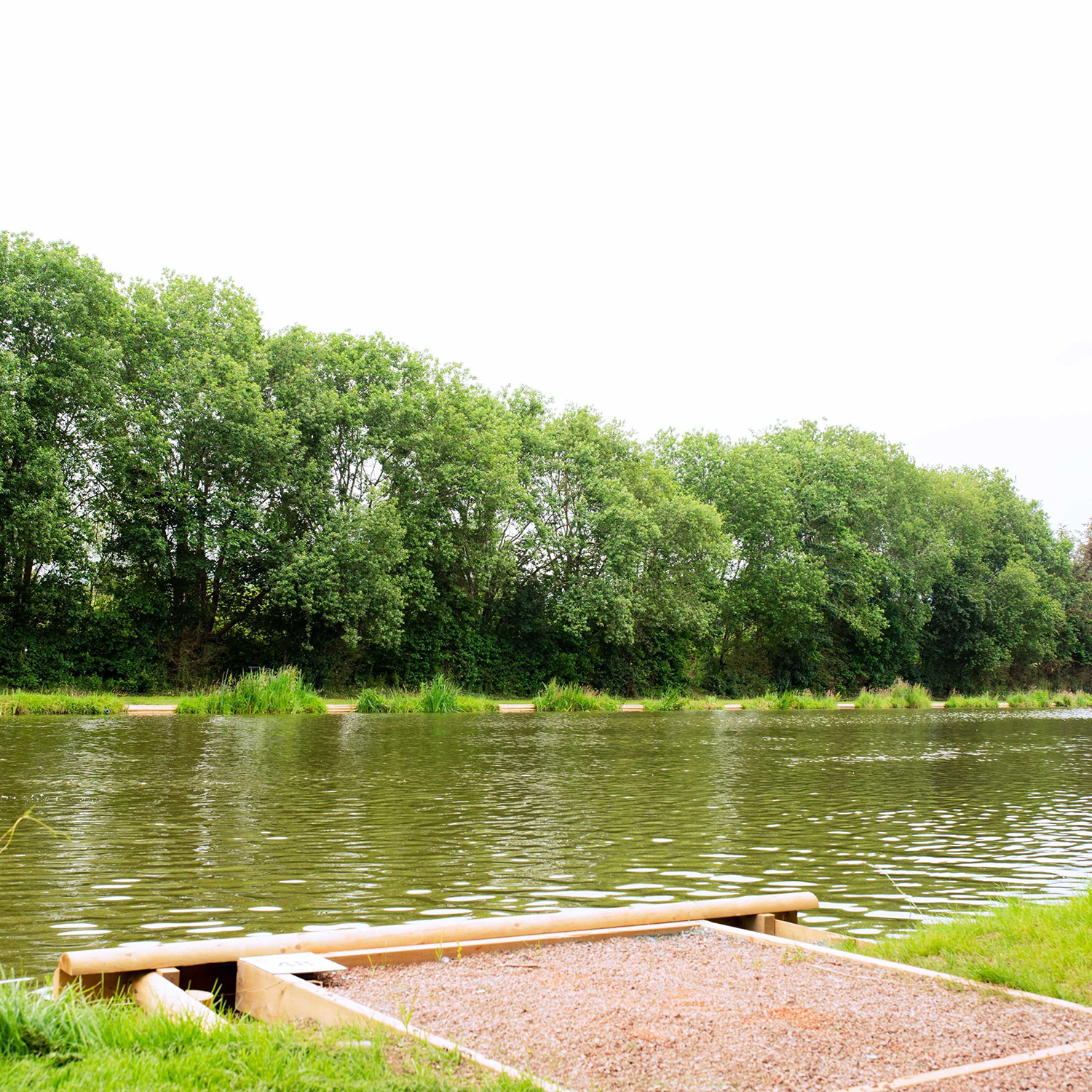 Mallard Pond Spring Lea | Reech Agency