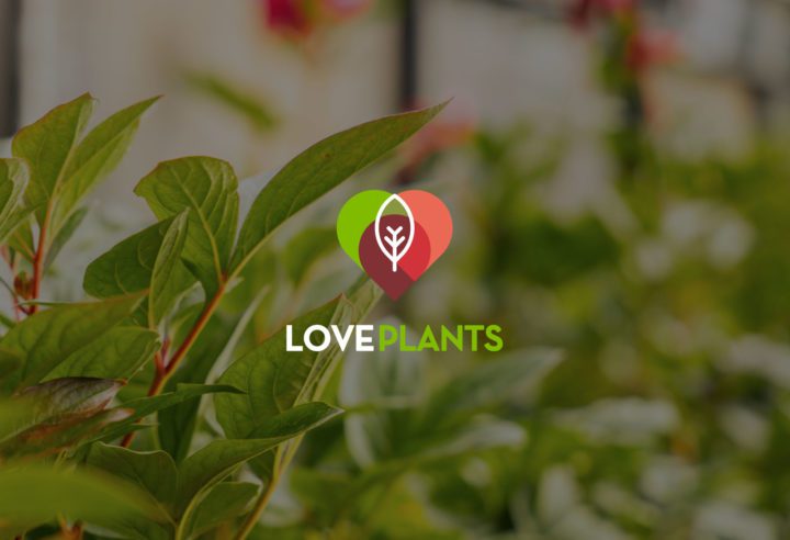 LovePlants New Website Launch