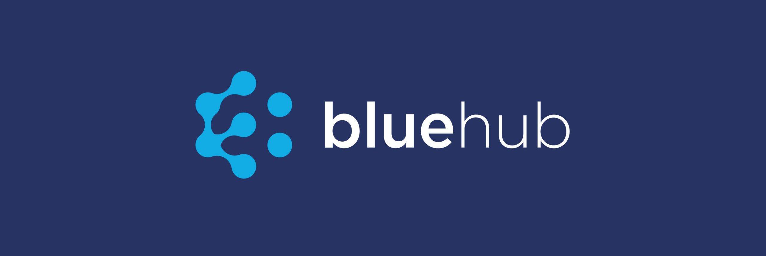 BlueHub Logo