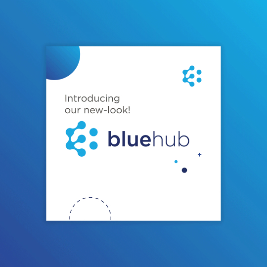 Portfolio - BlueHub Social Media | Reech