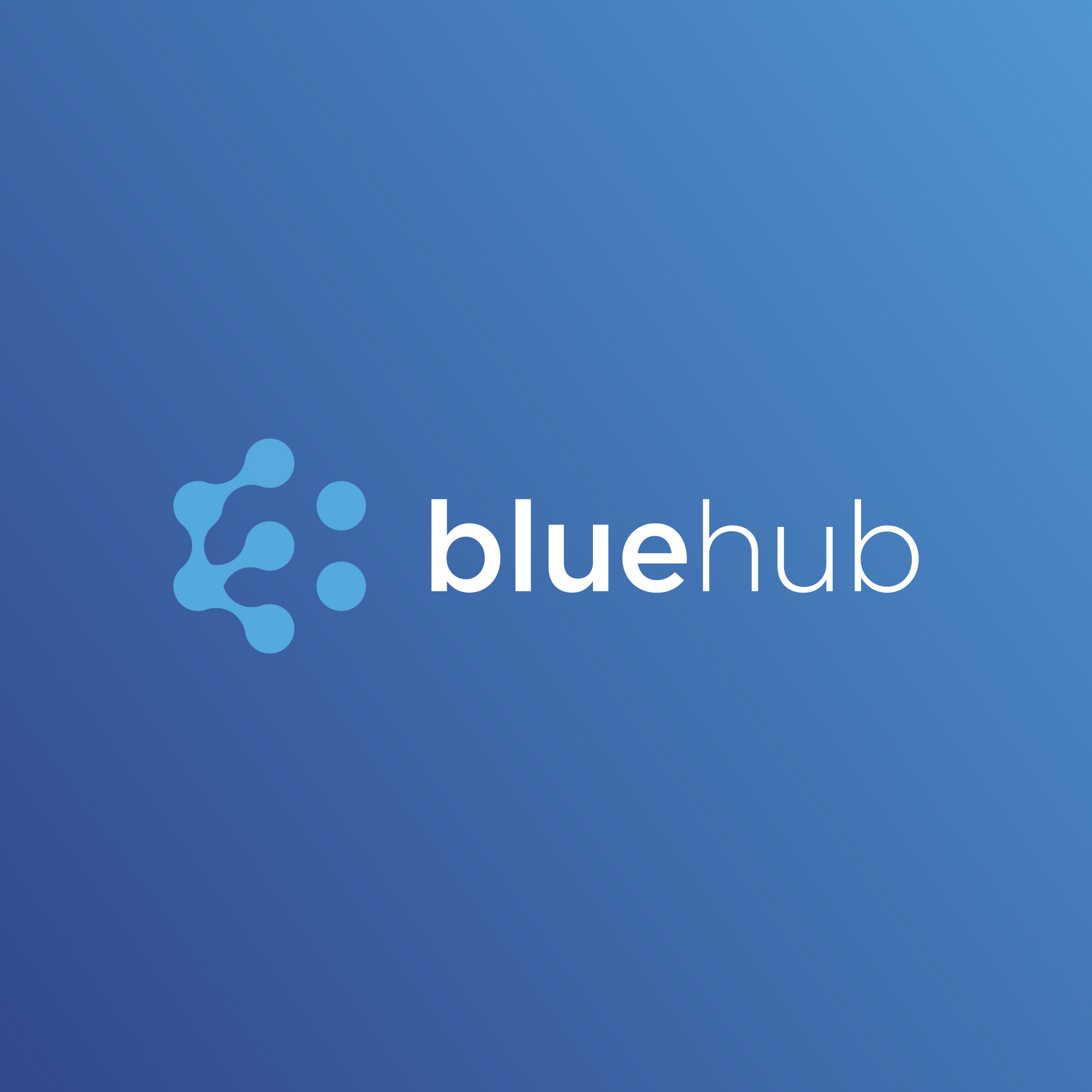 BlueHub Brand | Reech