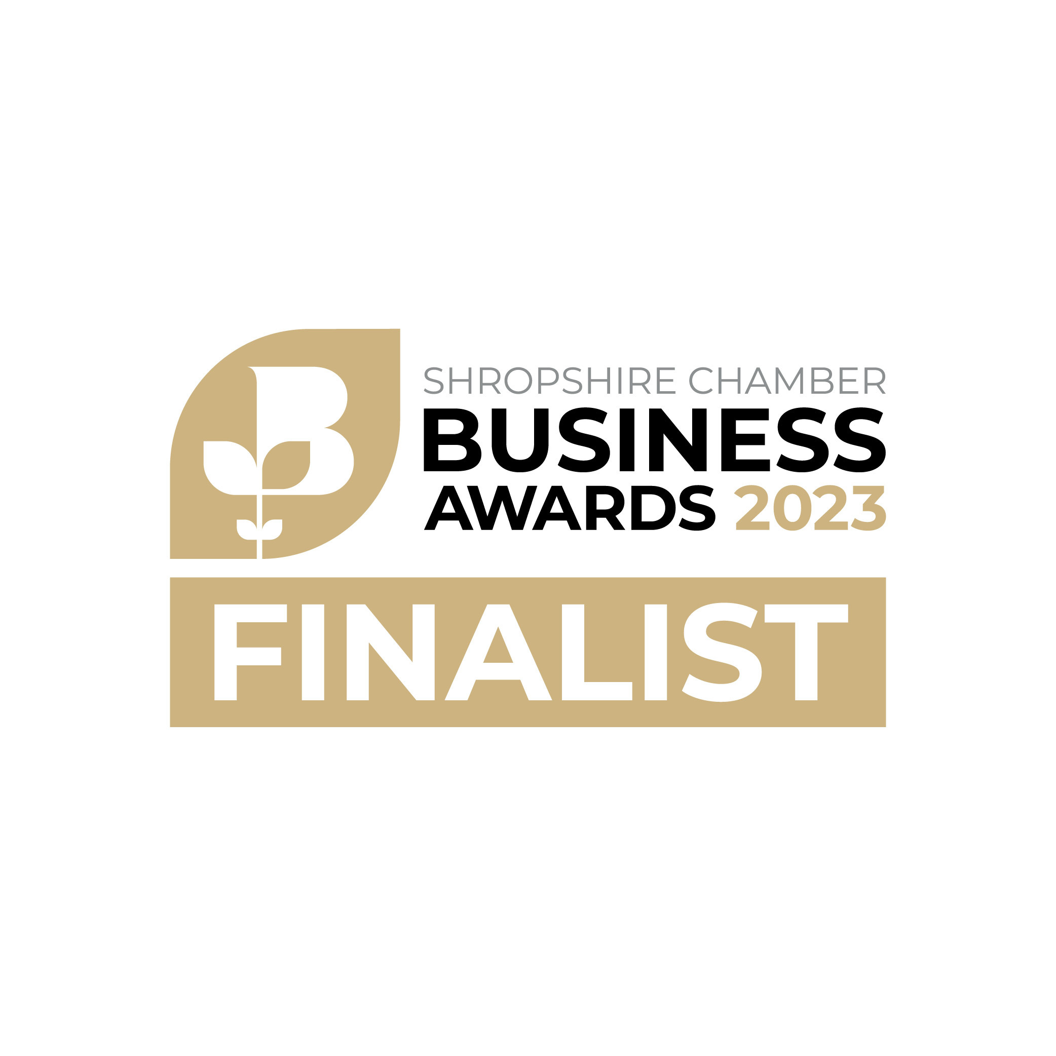 We’re finalists! Company and Young Business Person of the Year