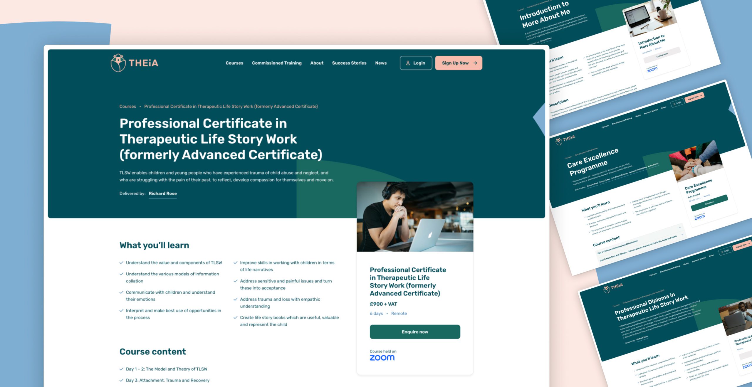 THEiA Website