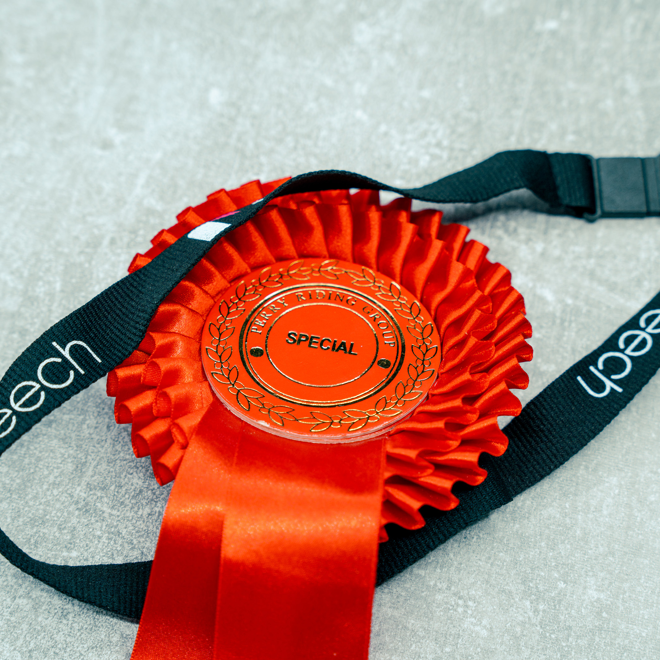 A rosette and Reech lanyard on the desk together